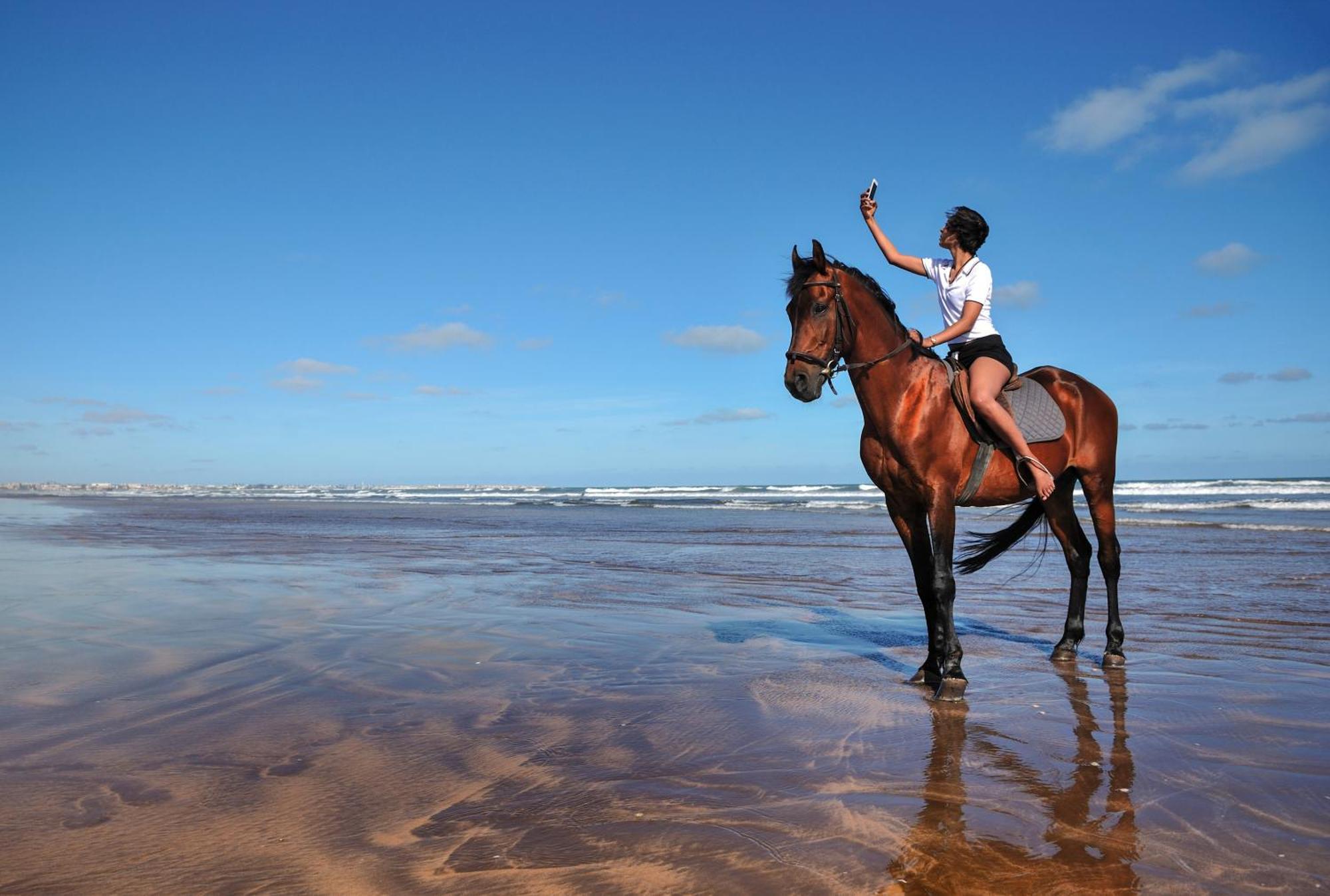 Pullman Mazagan Royal Golf & Spa El Yadida Exterior foto A horse on the beach