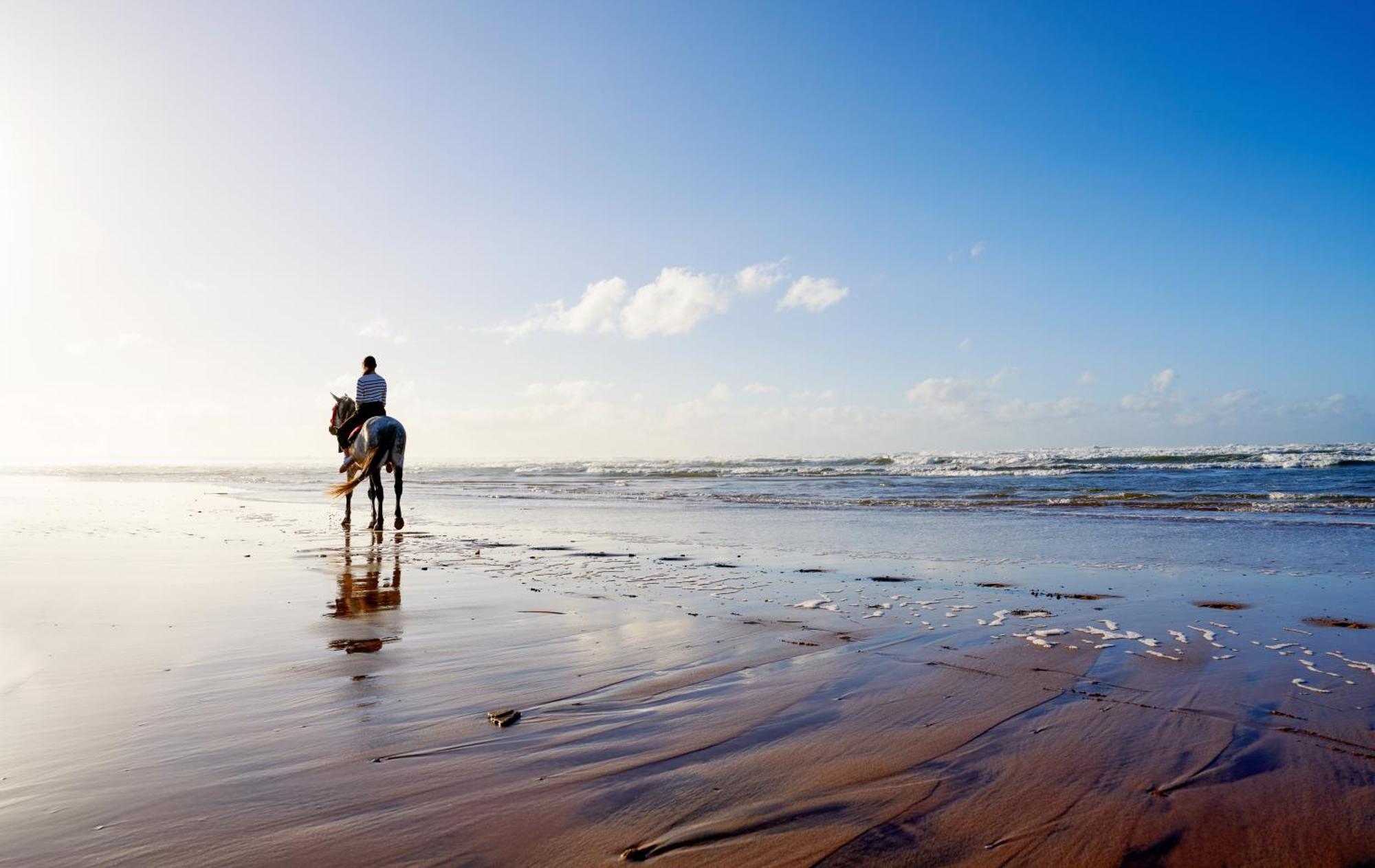 Pullman Mazagan Royal Golf & Spa El Yadida Exterior foto Beach in Tangier